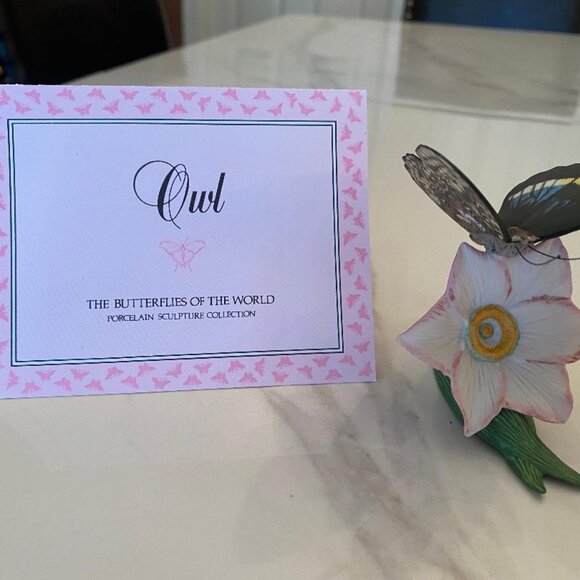 Butterflies From Around the World on their own Native Flowers - Picture 3 of 9